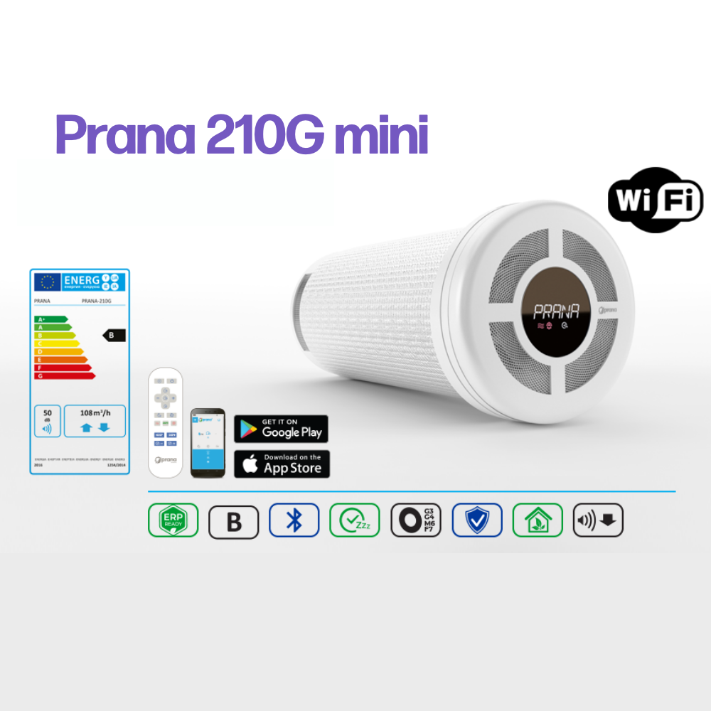PRANA 210G-mini Recuperator