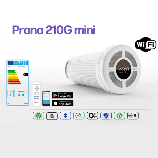 PRANA 210G-mini Recuperator
