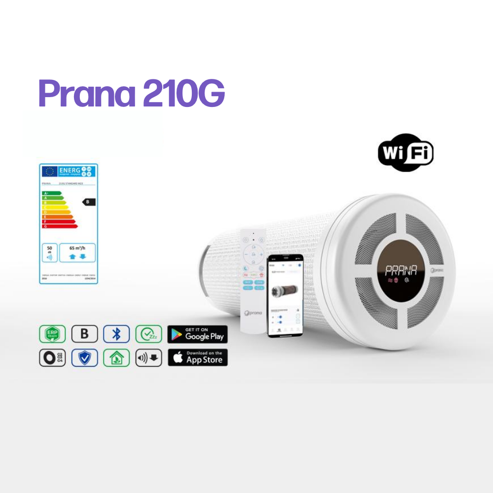 PRANA 210 G Recuperator